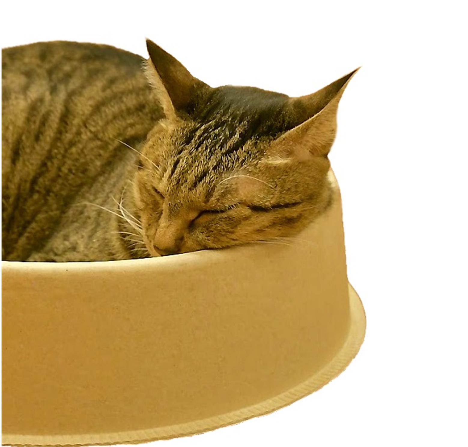 矹娥005.jpg 矹娥005.jpg